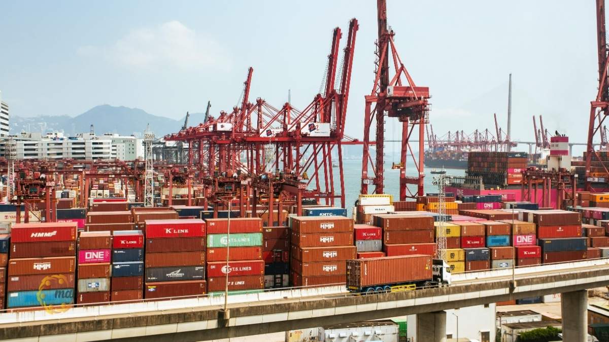 Đối tượng chịu thuế và đối tượng được miễn thuế xuất khẩu