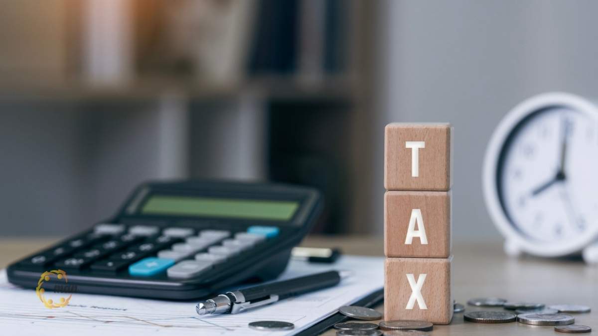 Dịch vụ khai báo thuế là gì và tại sao doanh nghiệp cần đến chuyên gia