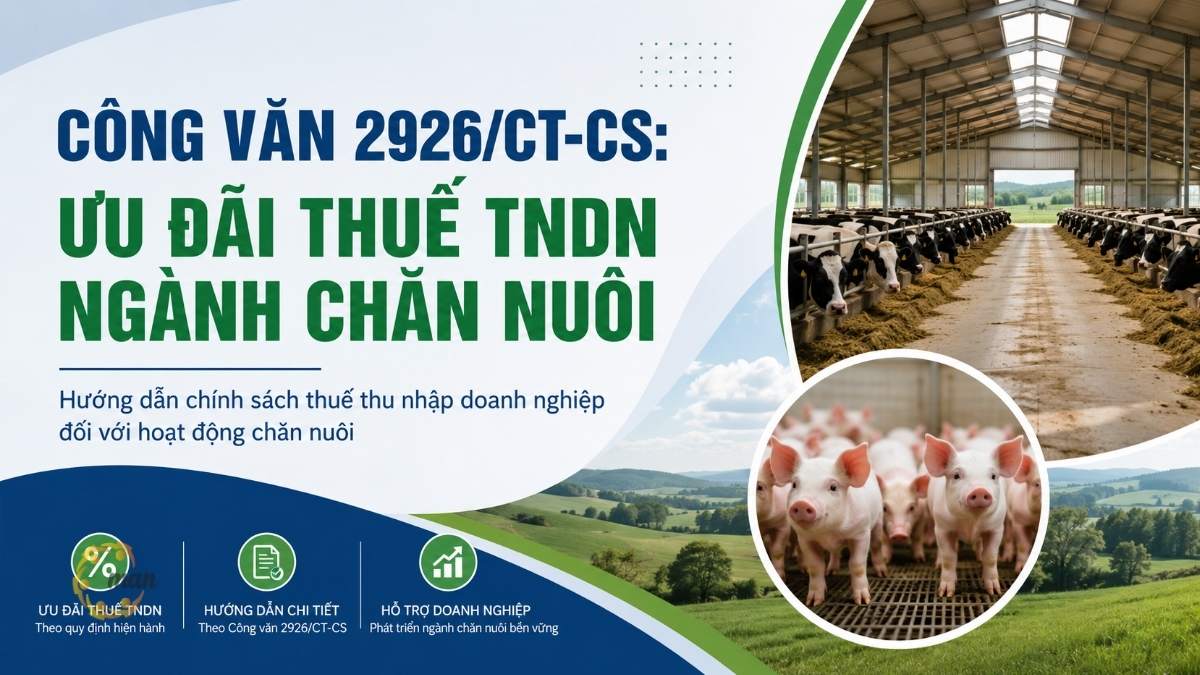 Công văn 2926/CT-CS