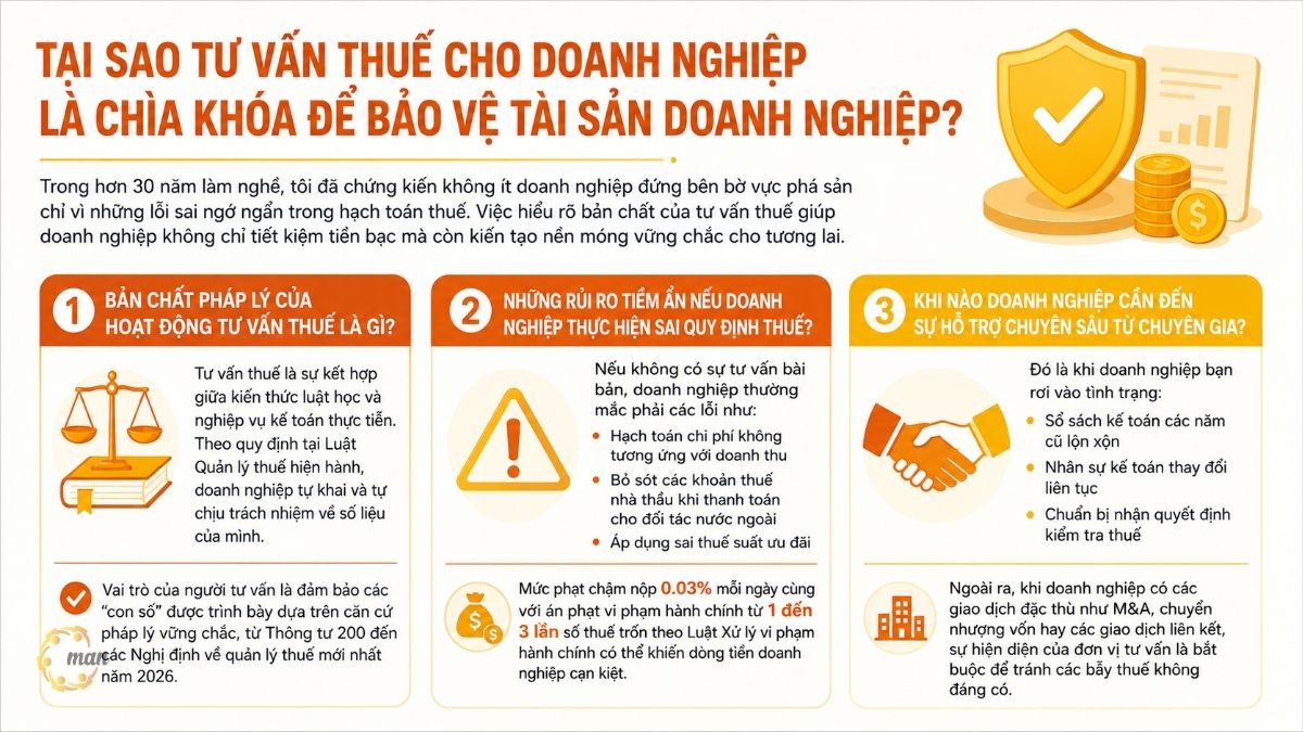 Tại sao tư vấn thuế cho doanh nghiệp là chìa khóa để bảo vệ tài sản doanh nghiệp