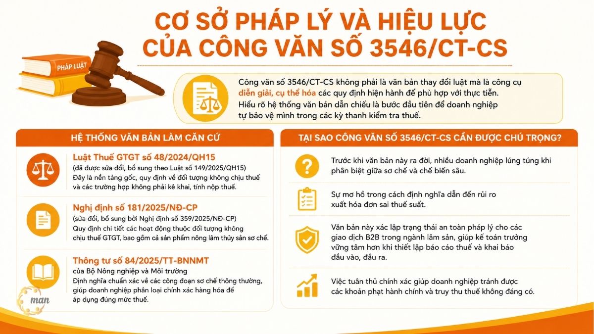Cơ sở pháp lý và hiệu lực của Công văn số 3546/CT-CS