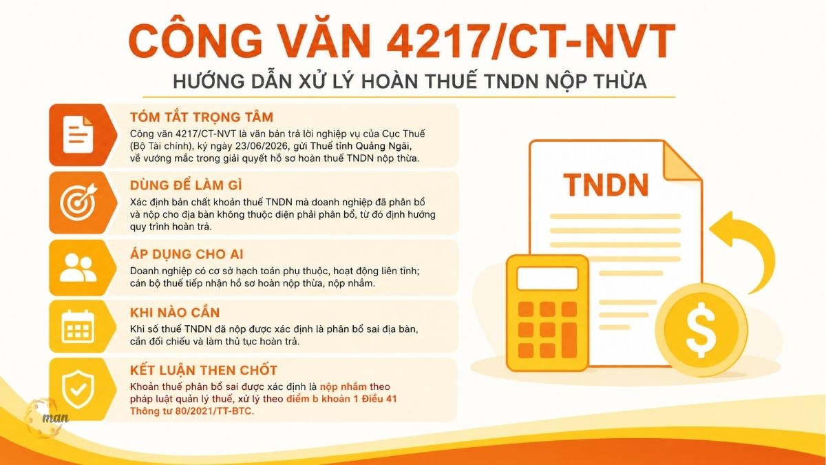 Tóm tắt trọng tâm về Công văn 4217/CT-NVT