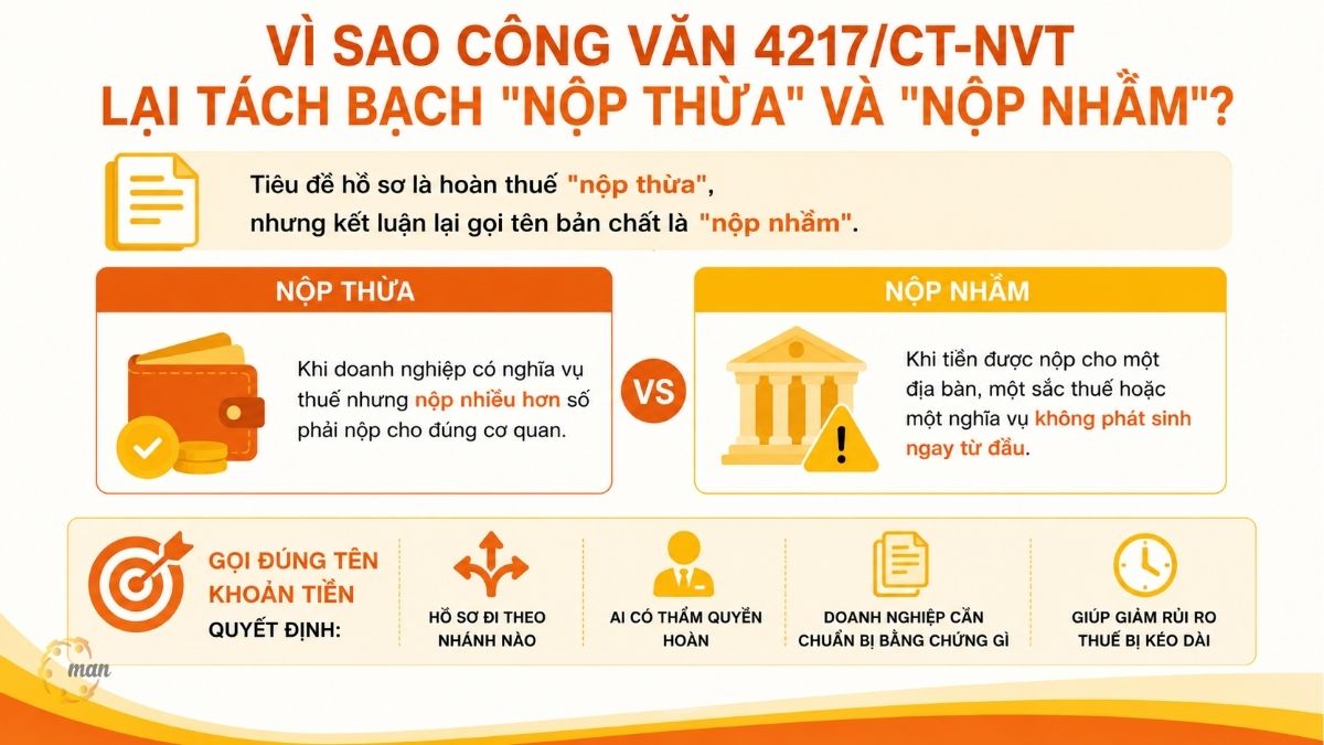 Vì sao Công văn 4217/CT-NVT lại tách bạch nộp thừa và nộp nhầm?