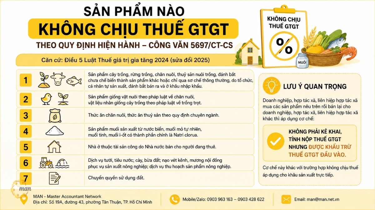 Sản phẩm nào không chịu thuế GTGT theo quy định hiện hành Công văn 5697/CT-CS?